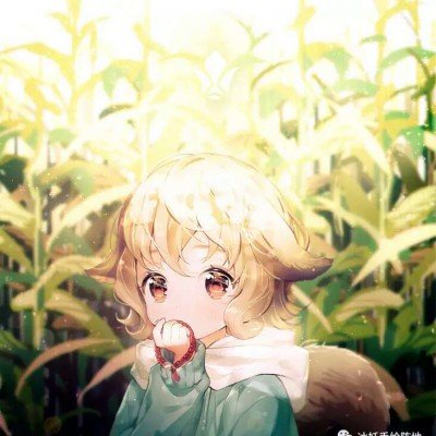 华盛顿政治之夜骤然紧张